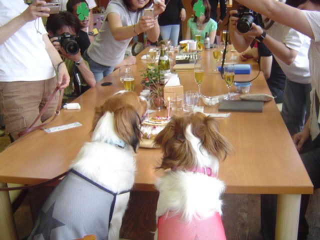 c0075585_0554620.jpg