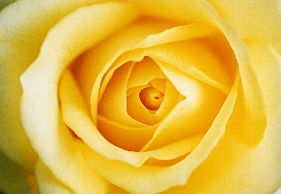 c0039205_23165042.jpg