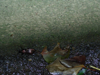 d0022918_22432744.jpg