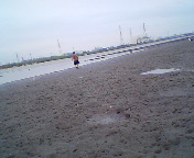 a0003536_840023.jpg