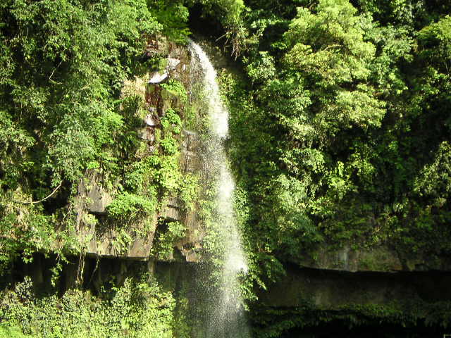 c0051873_19471317.jpg