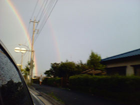 Over The Rainbow☆_c0003074_11465423.jpg