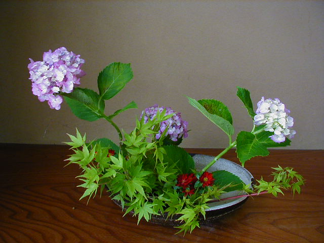e0001406_16204238.jpg