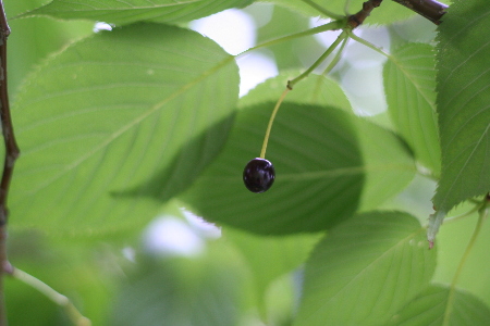 b0017338_052714.jpg
