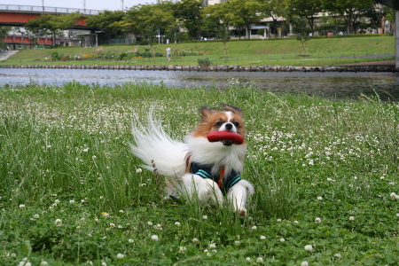 b0017338_0581378.jpg