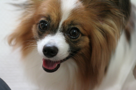 b0017338_127413.jpg