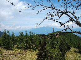 千頭星山(2,139m)に登山_c0065744_13501346.jpg