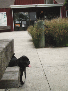 b0035453_1426675.gif