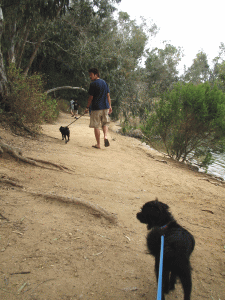 b0035453_14384241.gif