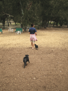 b0035453_1462787.gif