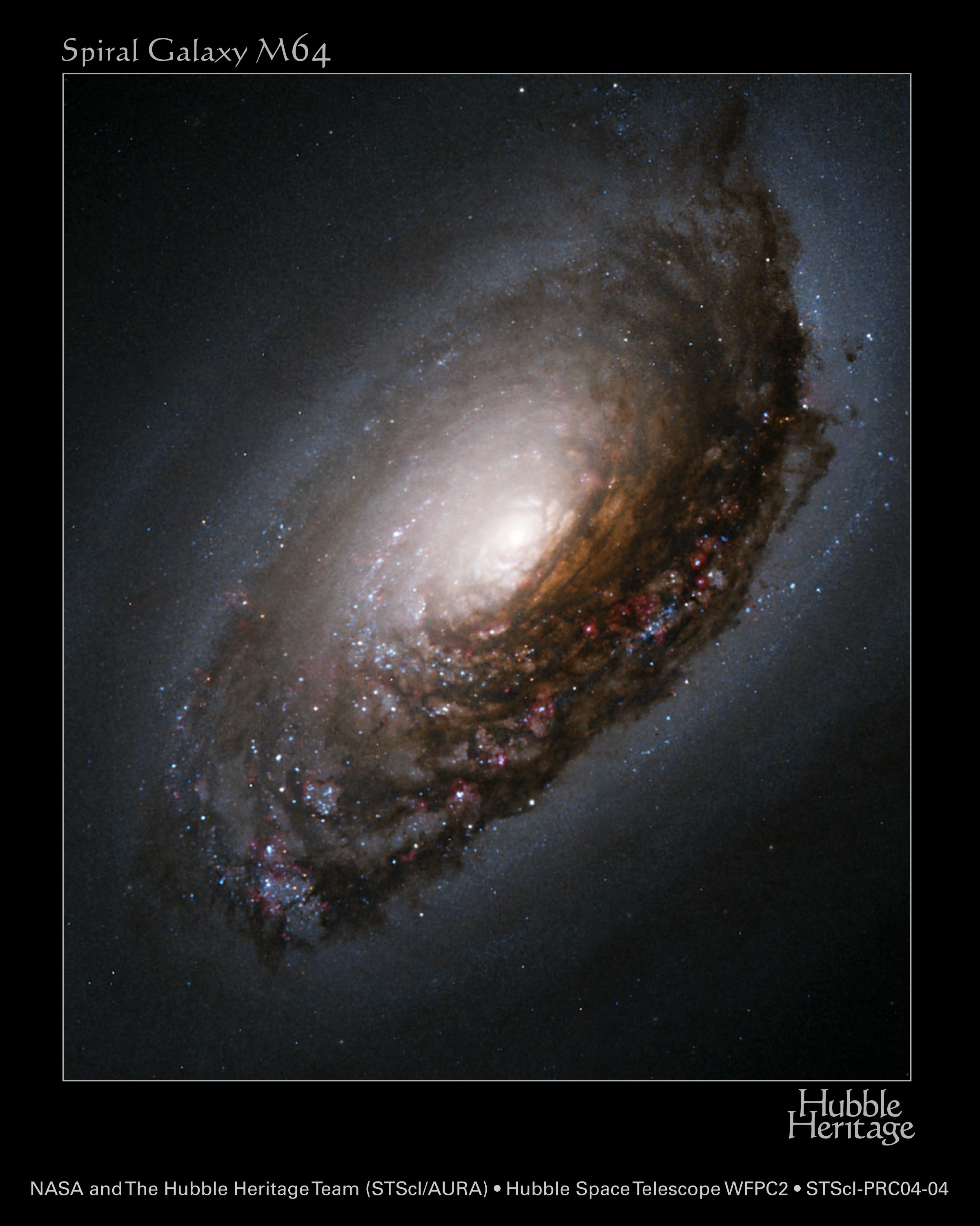 black eye galaxy_d0049594_2116495.jpg