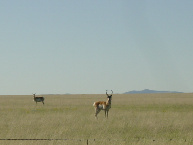 New Mexico!!_c0002614_1204824.jpg