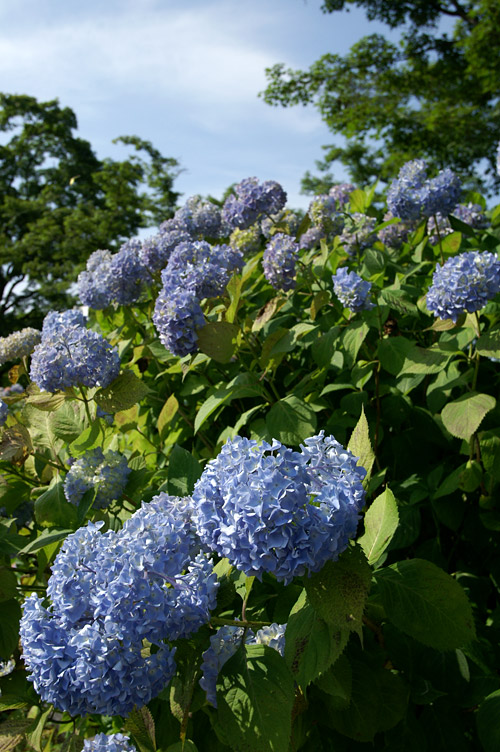 a0003746_16442558.jpg