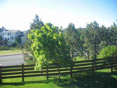 b0034565_0421127.jpg