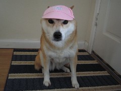 割引券もらってヨッシャー!_b0043897_10465875.jpg