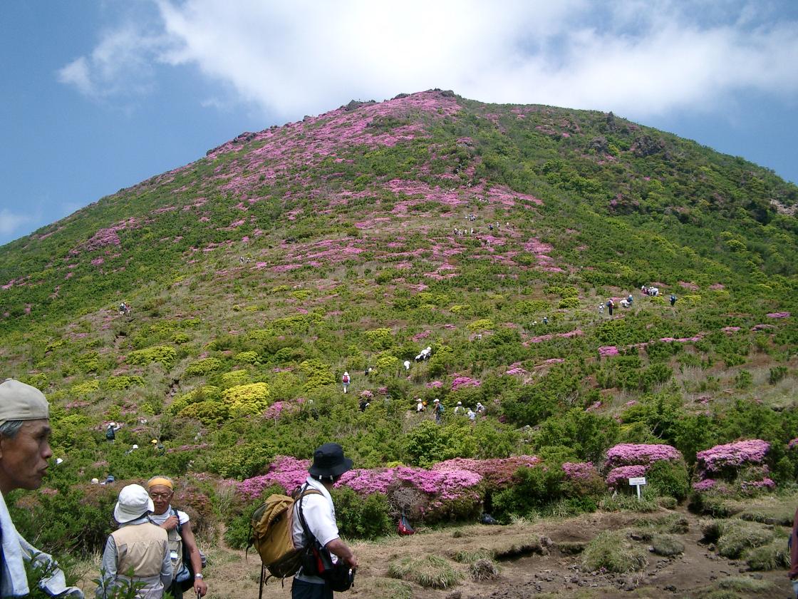 久住・平治岳　ミヤマキリシマ鑑賞登山　６月 ６・７日撮影_c0062304_12383273.jpg