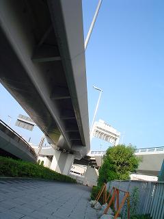 a0018711_810941.jpg