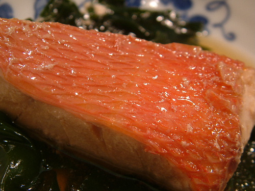 「ランチ 柿の木のご飯」_a0000029_21242837.jpg