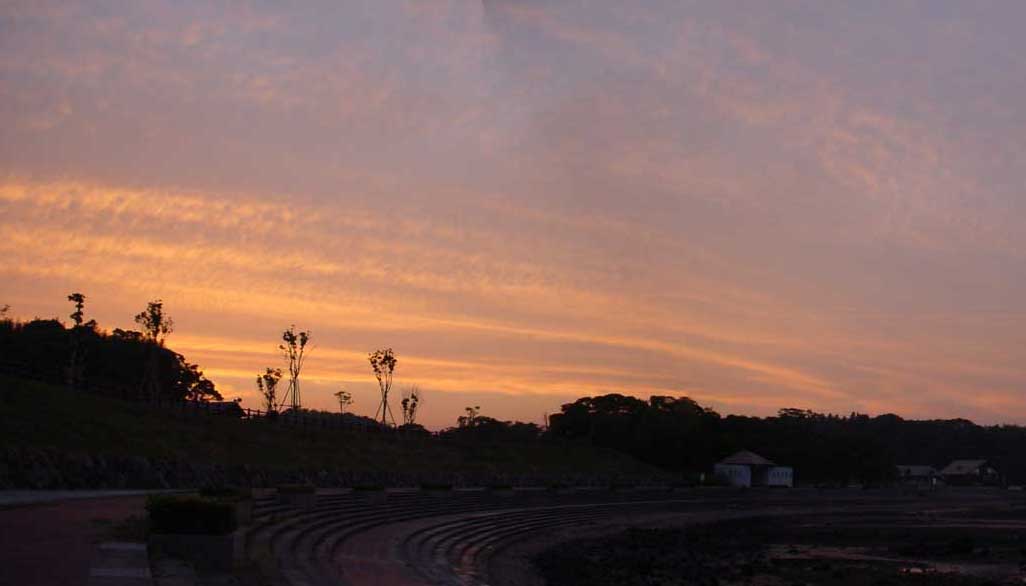 c0047341_19522424.jpg