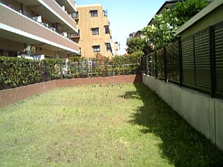 c0075585_18572371.jpg