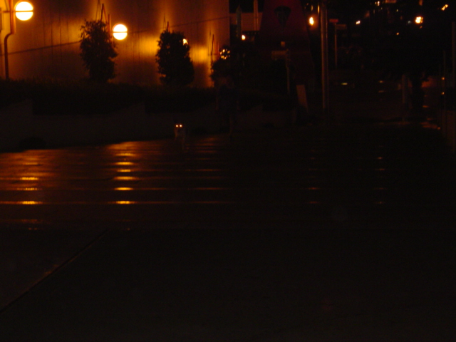 c0075585_22224815.jpg