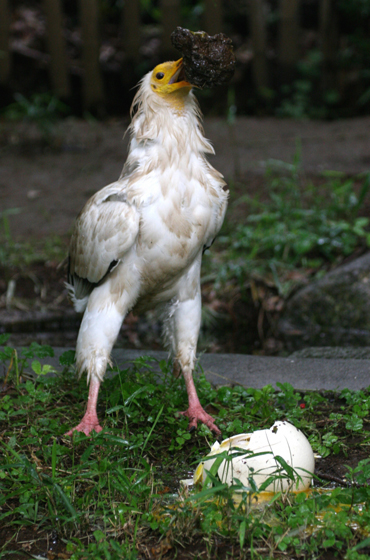 得意技_b0016600_7422029.jpg