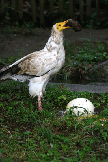 得意技_b0016600_7424160.jpg