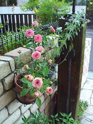 e0001735_23254991.jpg