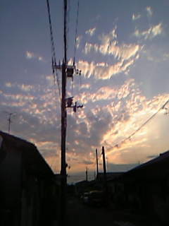 a0013937_19265736.jpg