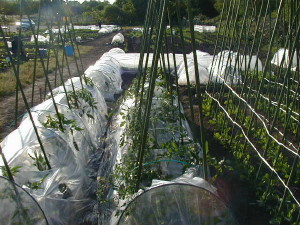 a0008185_20441563.jpg
