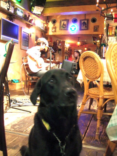 c0039145_9304052.jpg
