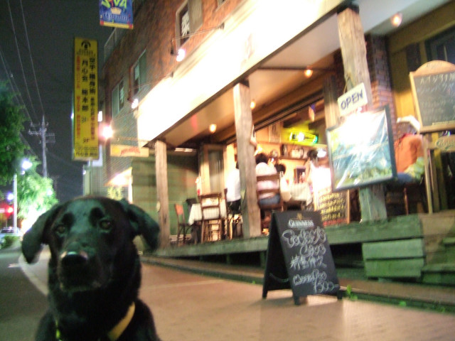 c0039145_9342516.jpg