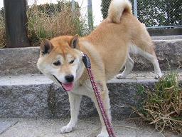 ふぅ~~。。。_c0049950_2327429.jpg