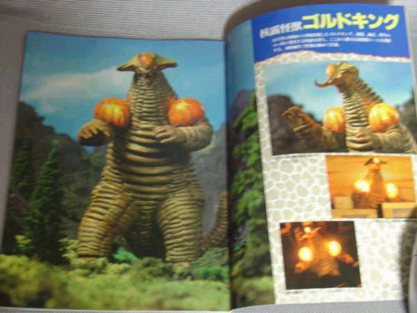 ゴルドキング_b0003180_19201418.jpg