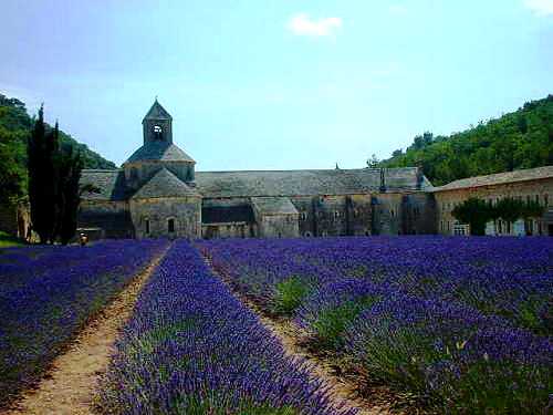 セナンク修道院 フランス工房ジャーナル