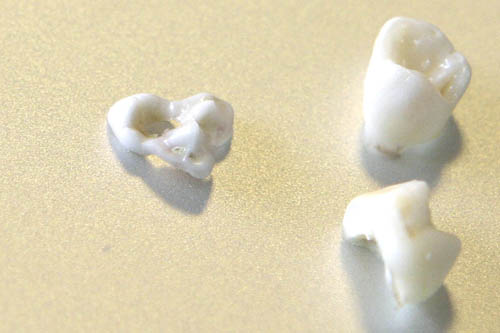 c0072370_22485016.jpg