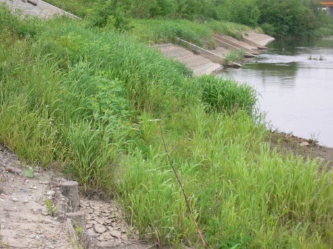 b0068572_10485317.jpg
