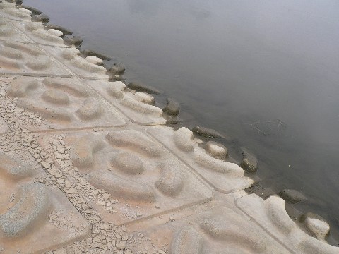 b0068572_105052.jpg