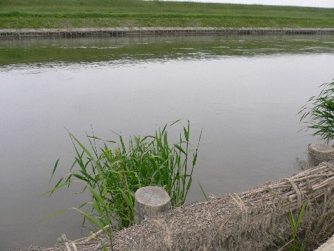 b0068572_10525192.jpg
