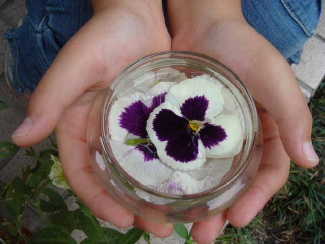 浮かせ花 w Works ダブルワークス 浮かせ花 w Works ダブルワークス