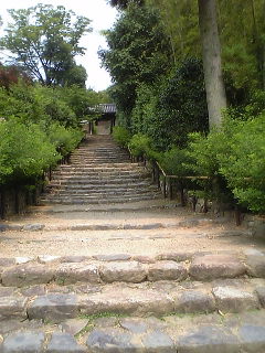 ビャクダン寺_c0012496_21323089.jpg