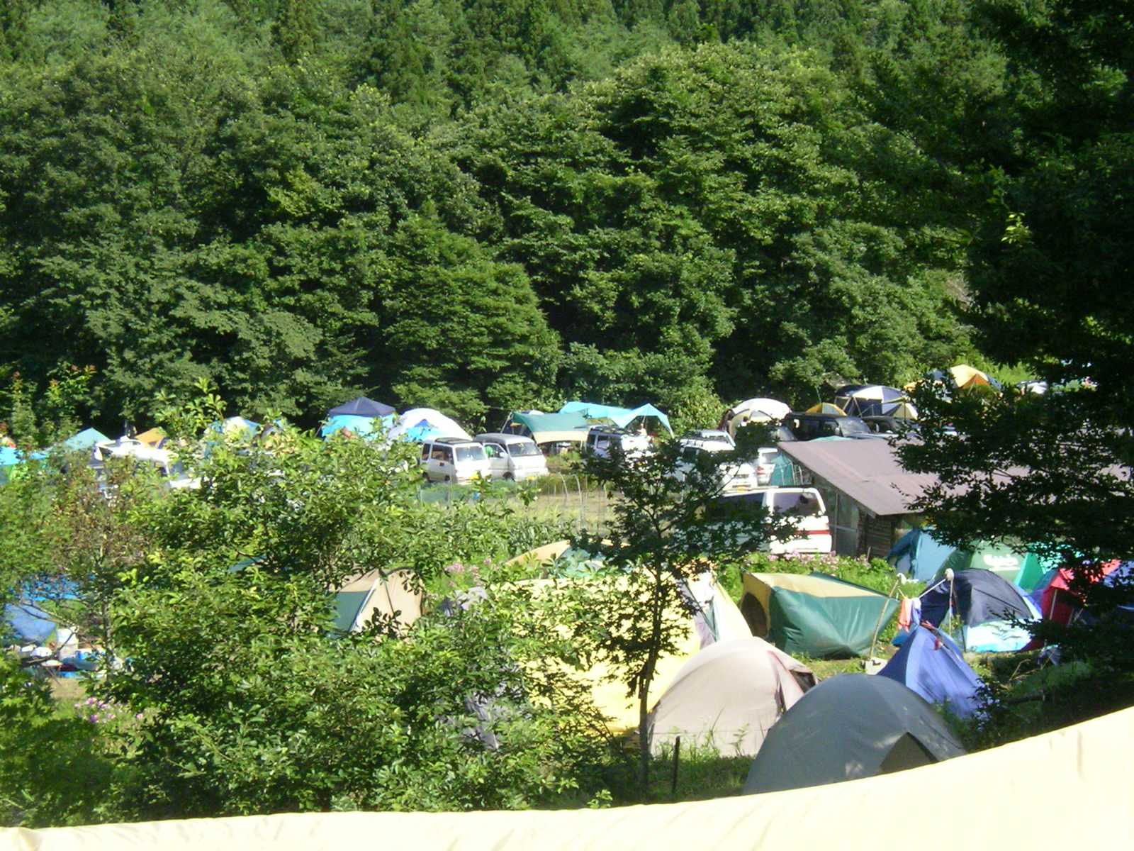 満月祭 Capt Trip 満月祭 Capt Trip