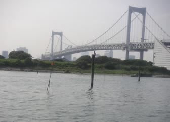 c0050419_22474782.jpg
