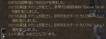 レイド討伐行ってきましたPartⅡ_e0005333_1513066.jpg