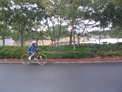 b0060837_12475435.jpg