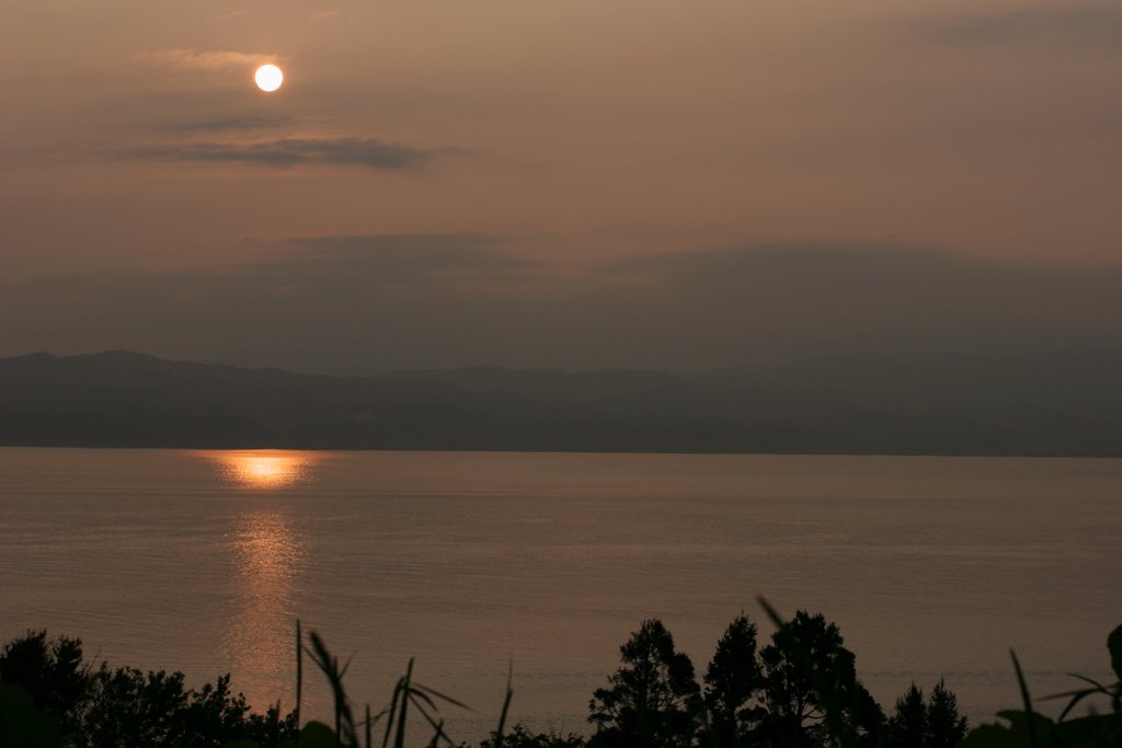 d0001745_3474588.jpg