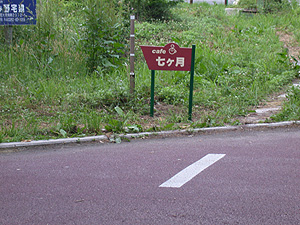 d0050155_017732.jpg