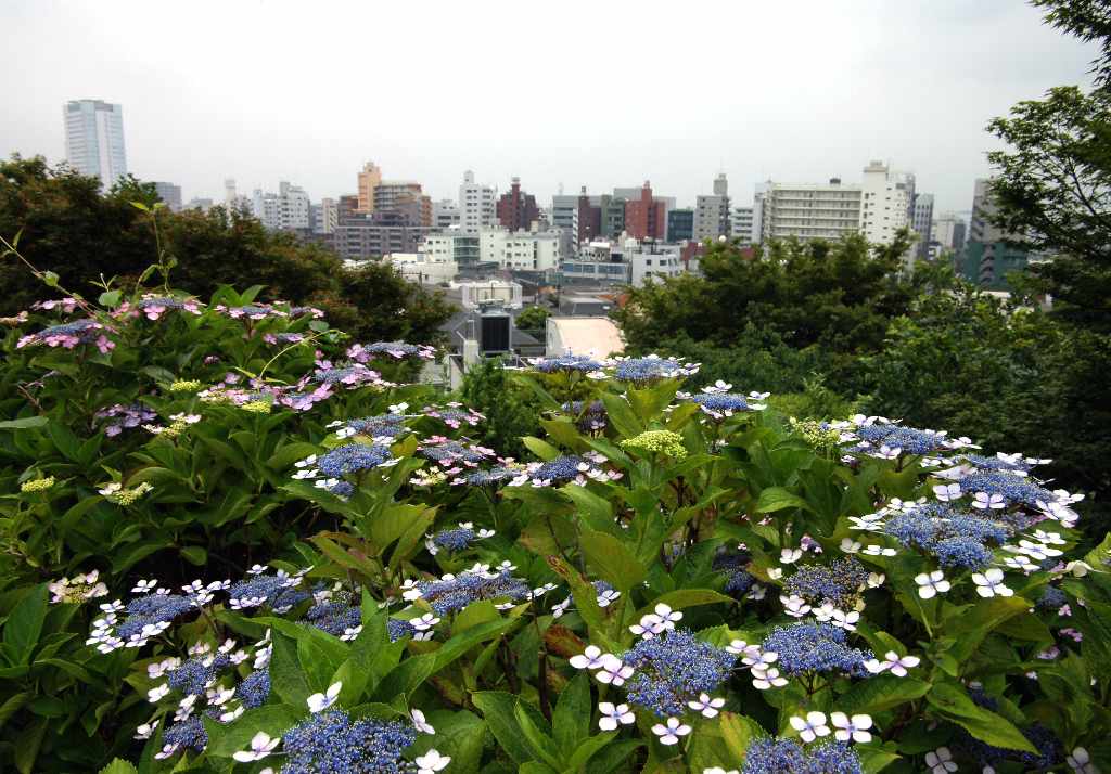 c0063685_2119889.jpg