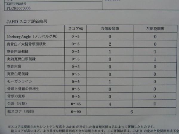 JAHDの報告書_c0033195_20335529.jpg