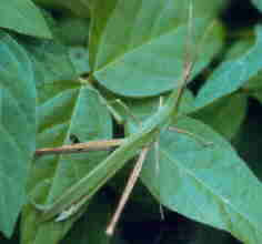d0063550_20518.jpg